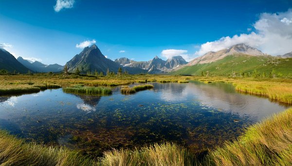 Quelle croisière offre des ateliers de fabrication de fromage en Suisse?